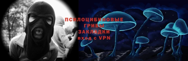 прущая мука Арсеньев