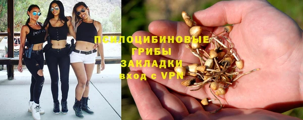прущая мука Арсеньев